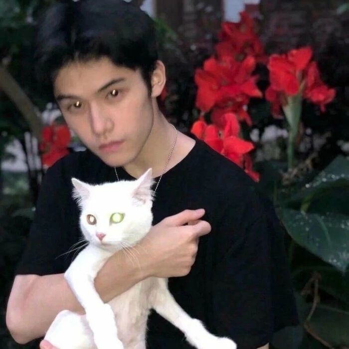 爷的魅力你不懂的第一张照片--诏安征婚网