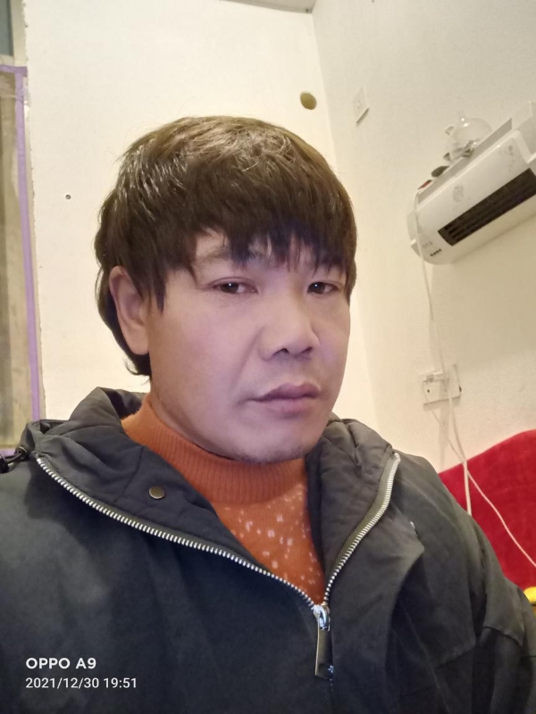 小鸟找窝的第一张照片--诏安征婚网