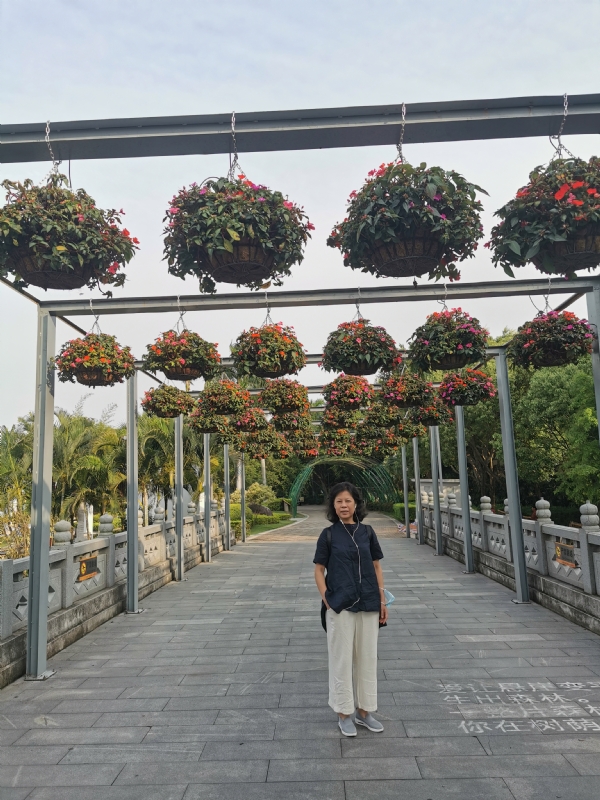一叶知秋的第二张照片--诏安征婚网