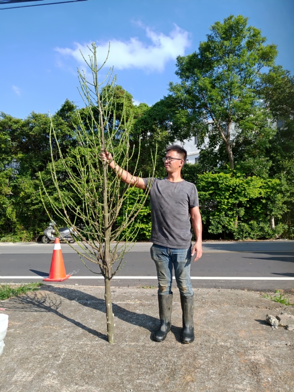jeff的第二张照片--诏安征婚网