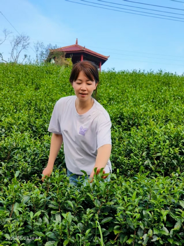 Q绮芳的第一张照片--诏安征婚网